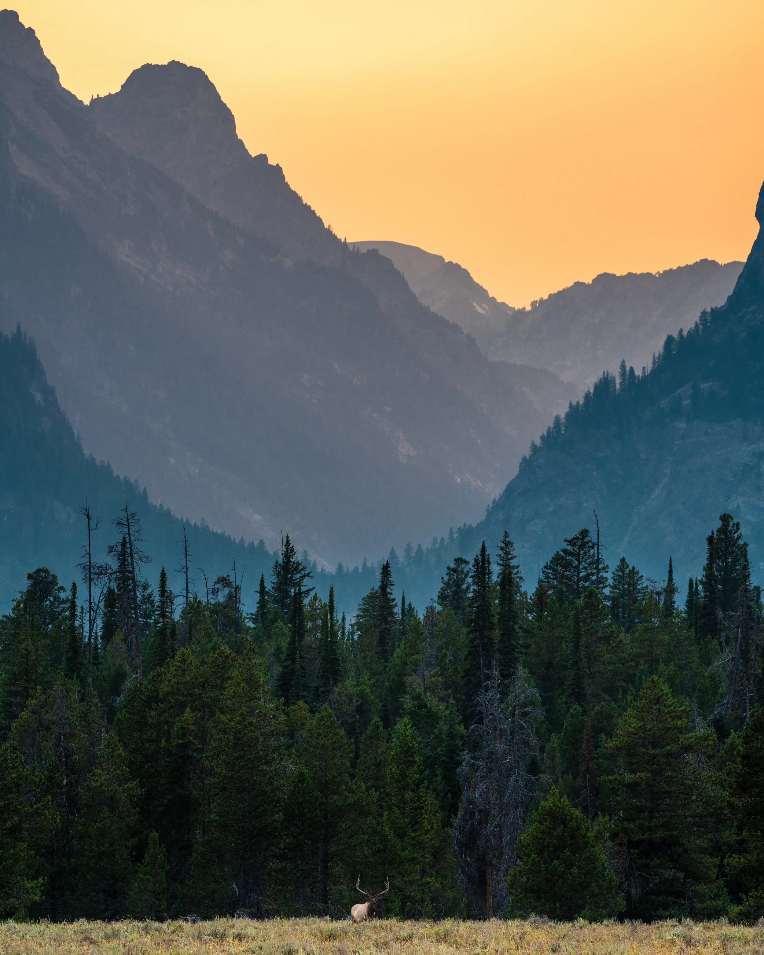 Every now and then the best view is before the ascent.