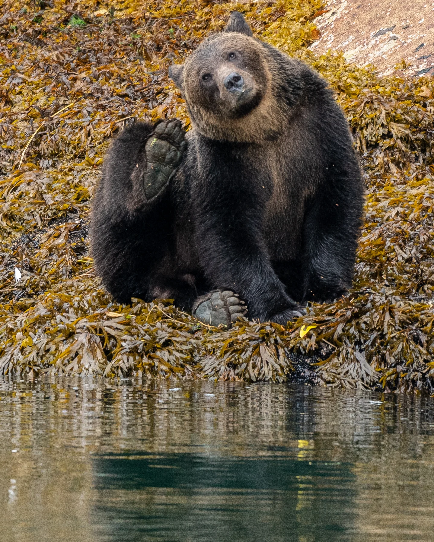A wave goodbye.