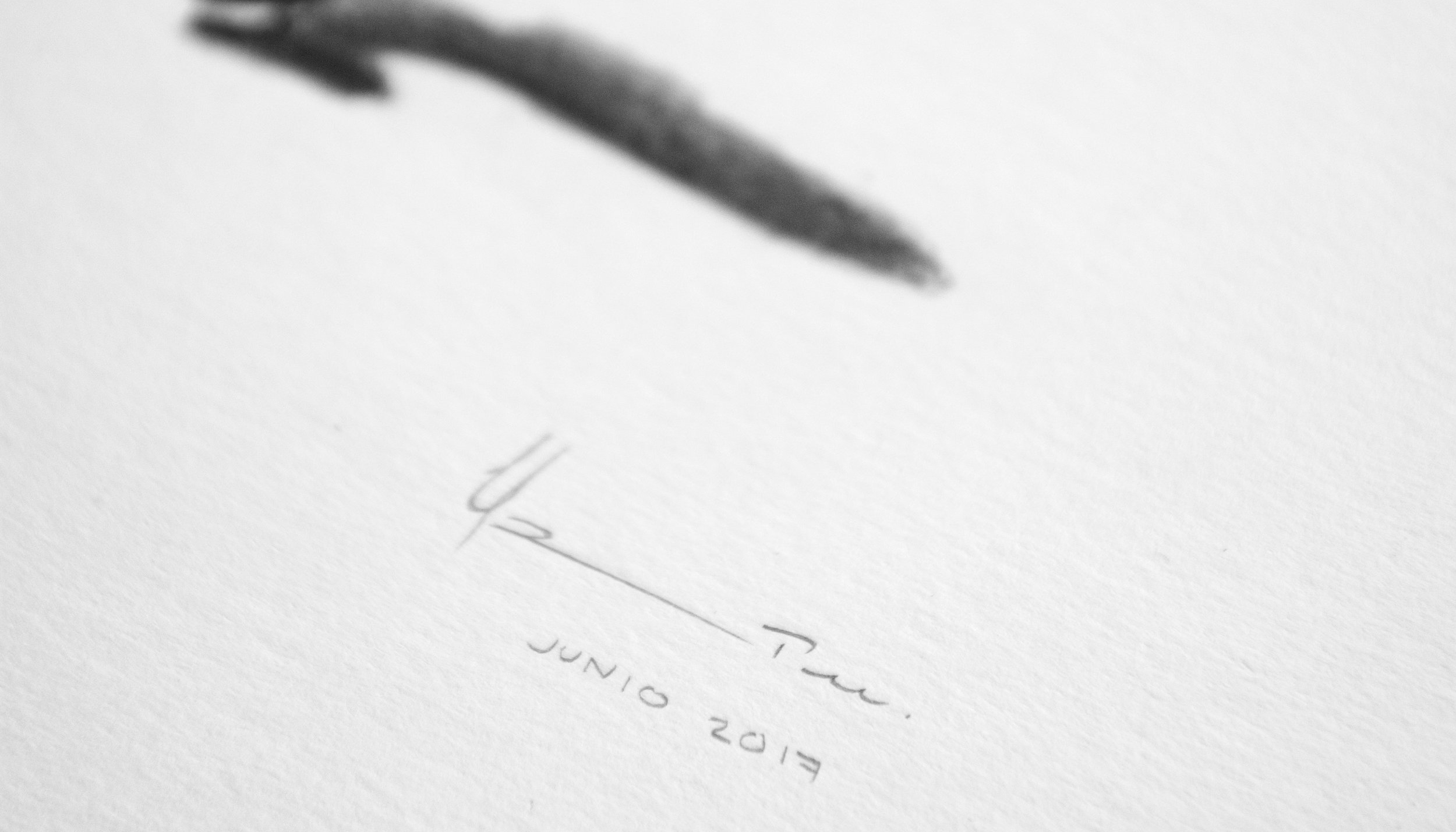 DETALLE.jpg