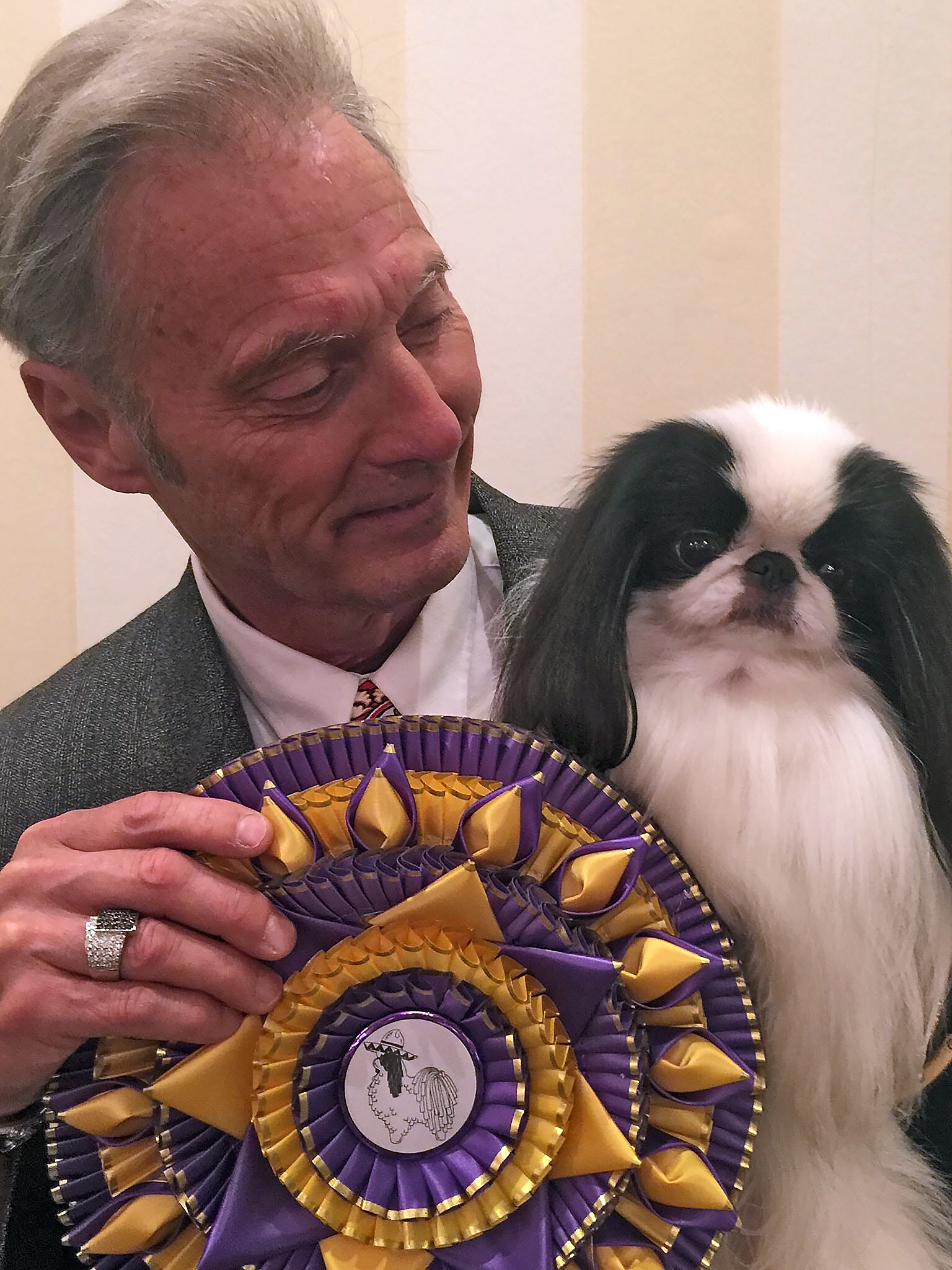 Winner of Best of Breed at the Japanese Chin of America National Show on 5/25/2018