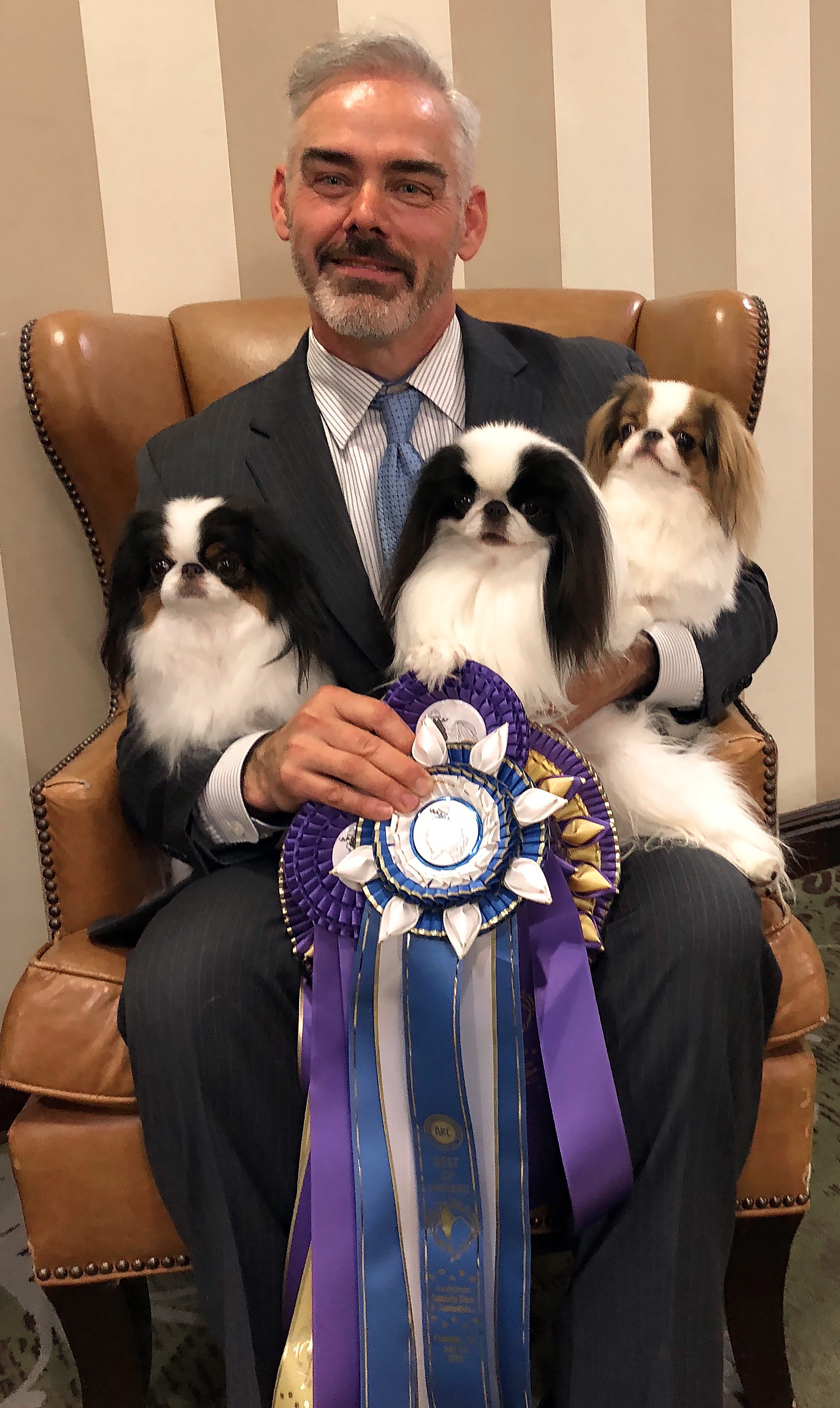 Japanese Chin of America National Show 5/25/2018