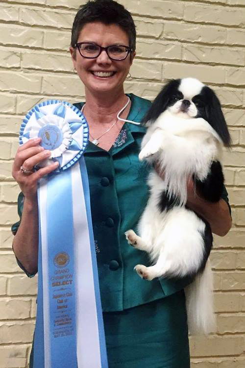 Japanese Chin Club of America, National Specialty 2016