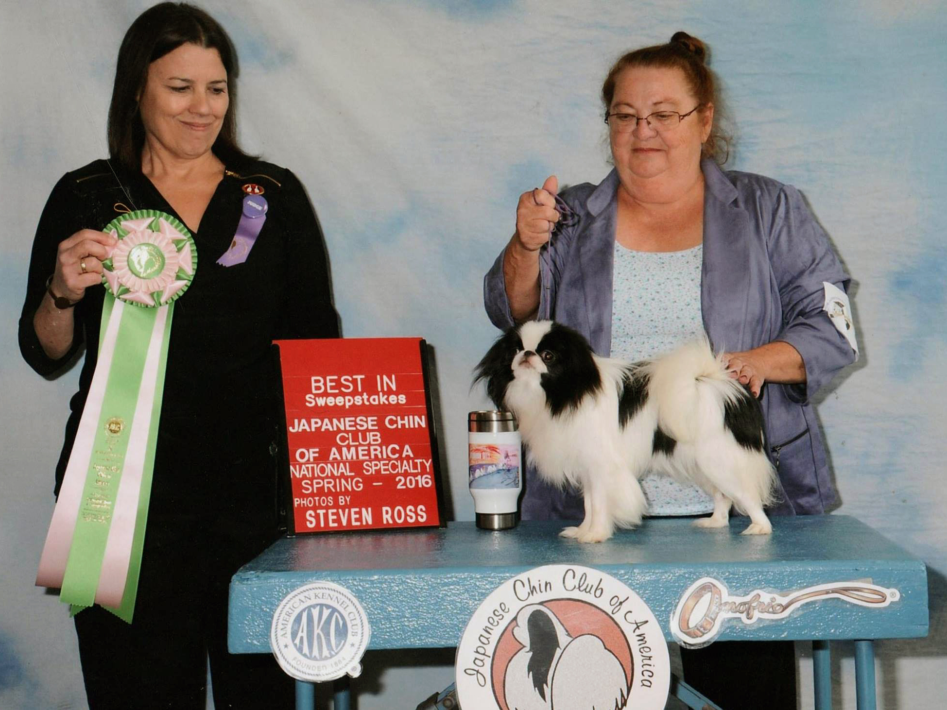 Japanese Chin Club of America, National Specialty 2016