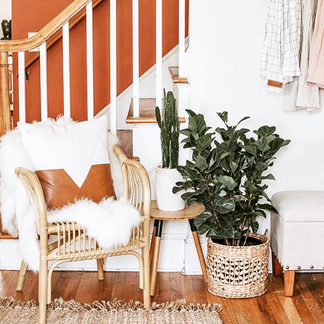 House plants make EVERYTHING better 🌵 Simple decor + little details . . . Loving this set up from @themasalins with @kaekooshop pillows ✨ Add personal details to your space with #frametoday