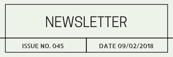 Newsletter 045.png