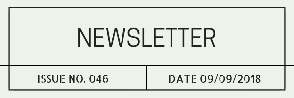 Newsletter 046.png