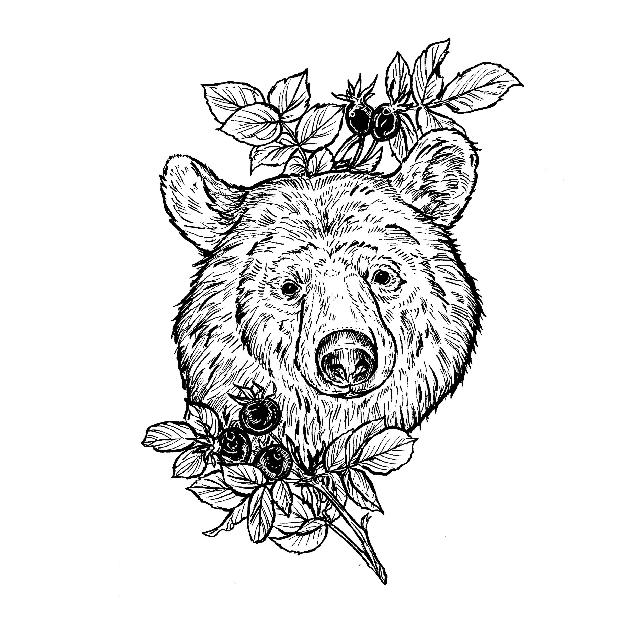 bear2.jpg