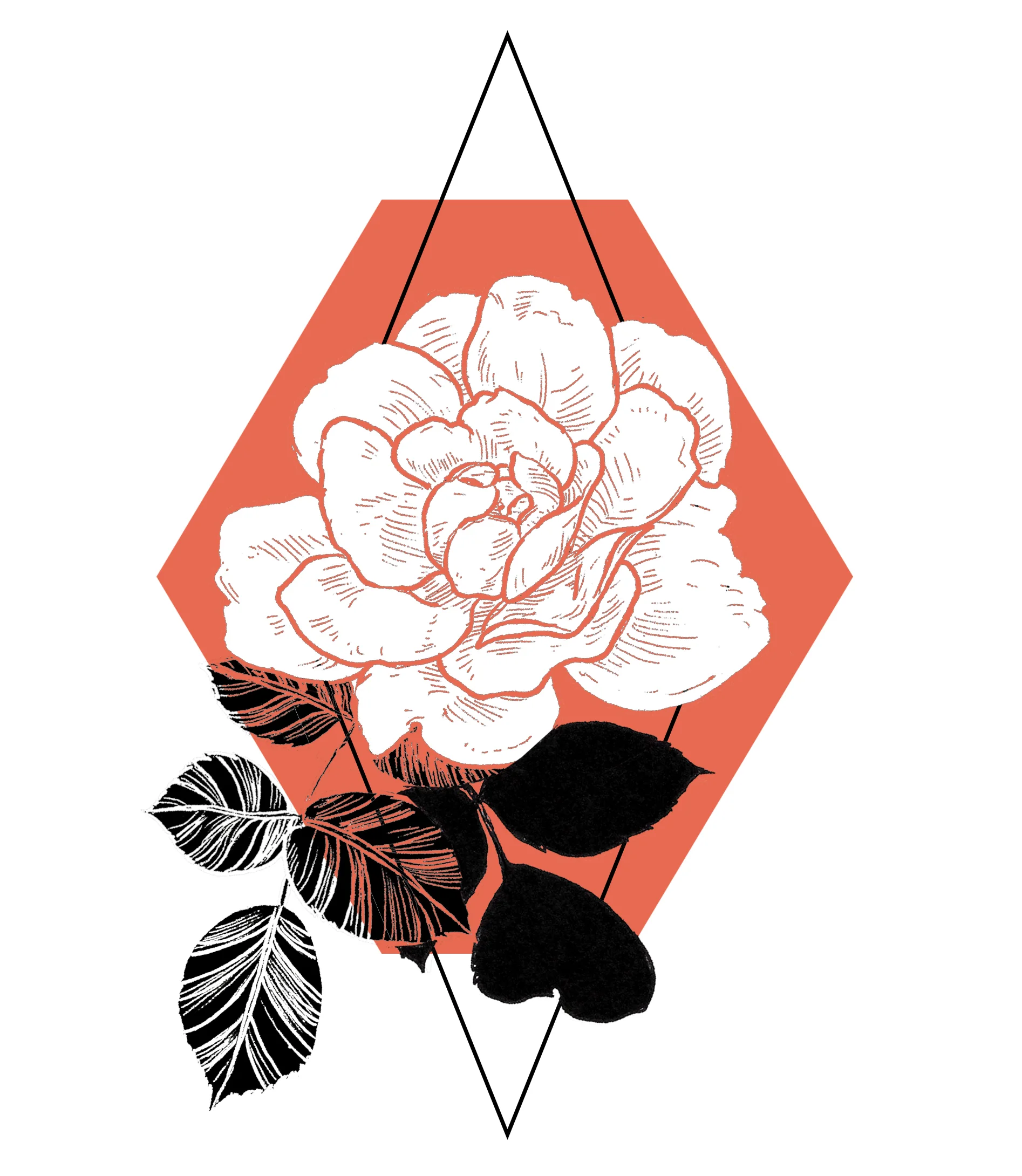 nude rose 2.jpg
