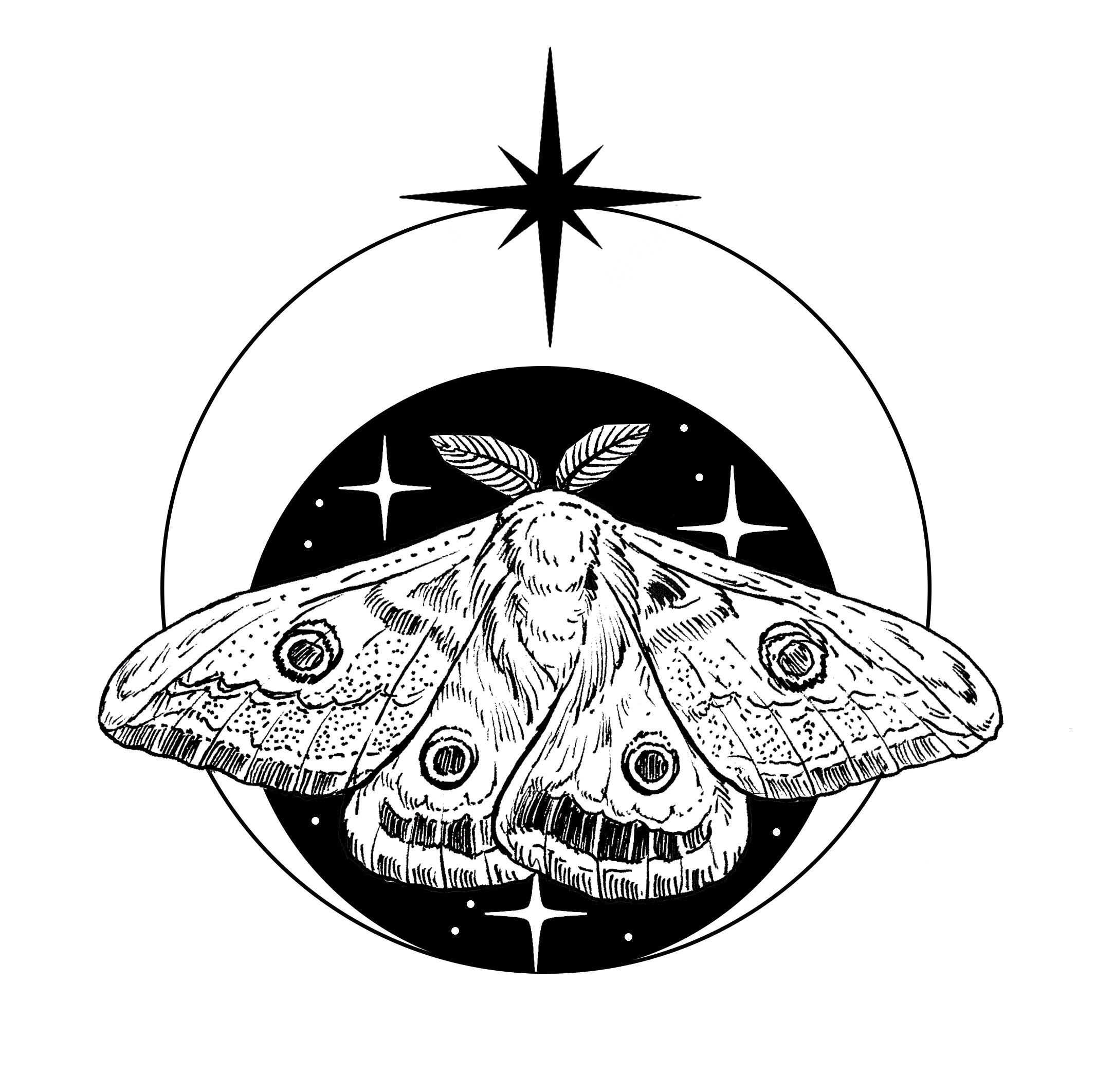 emperor moth moon 2.jpg