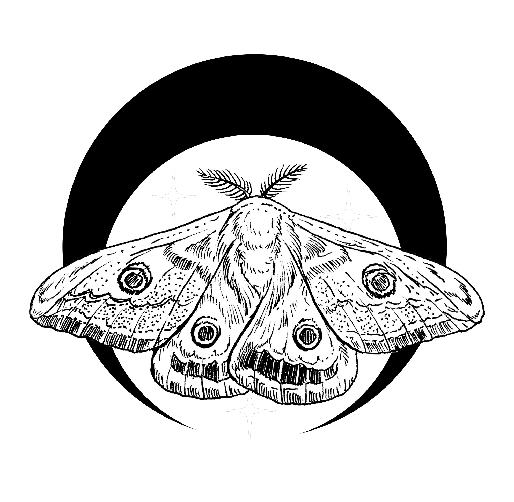 emperor moth moon.jpg