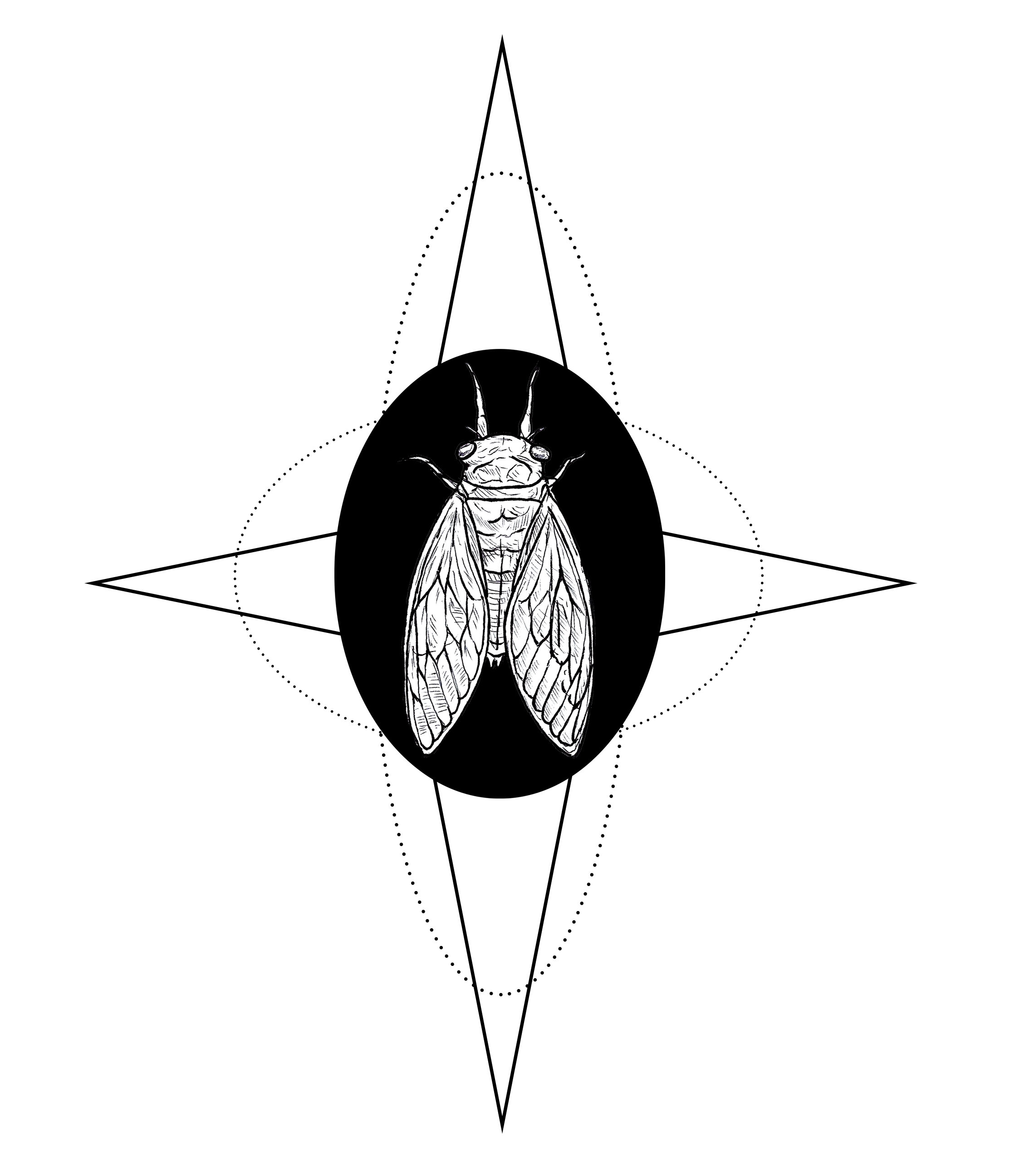 cicadas star.jpg