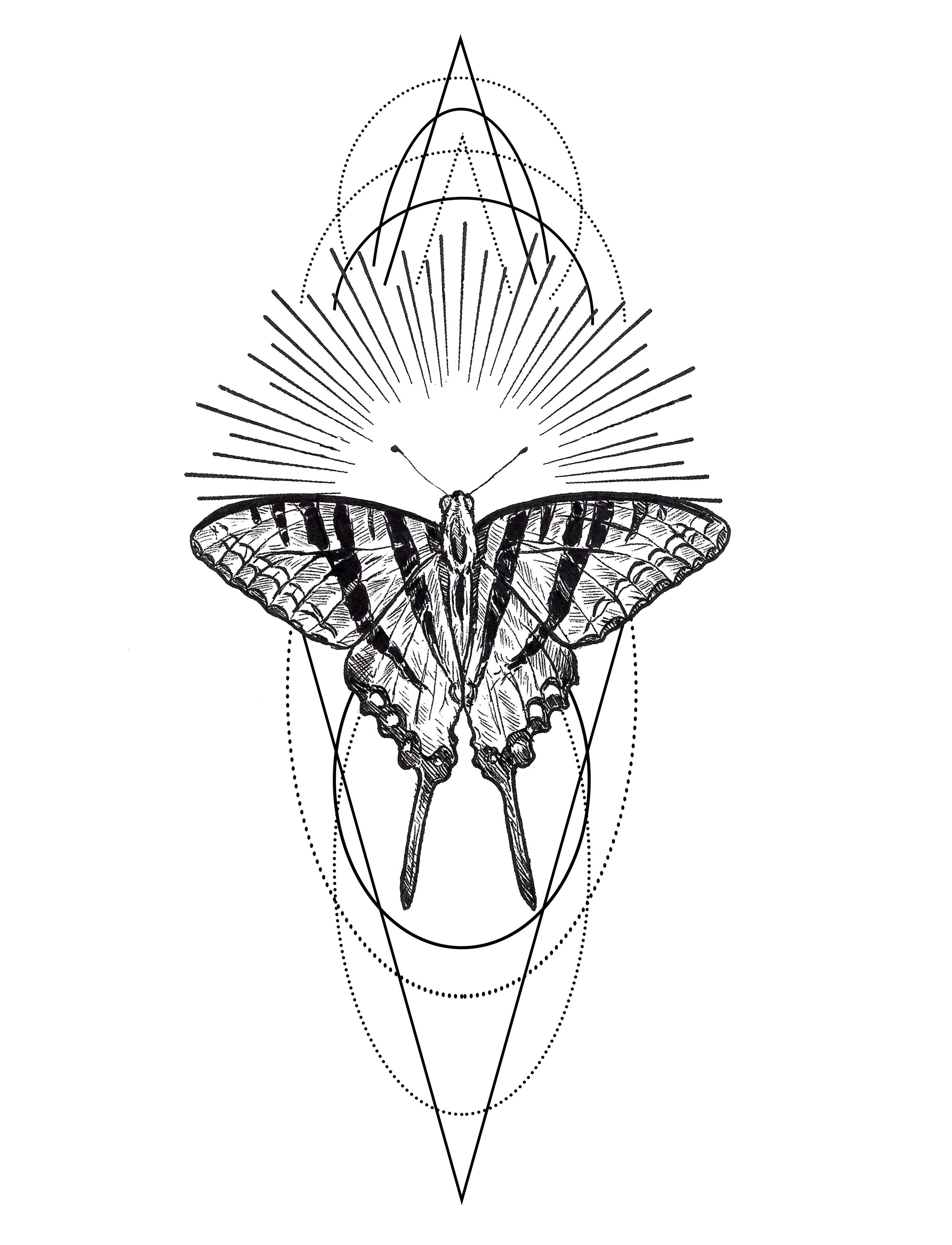 swallowtail sun geo 2.jpg