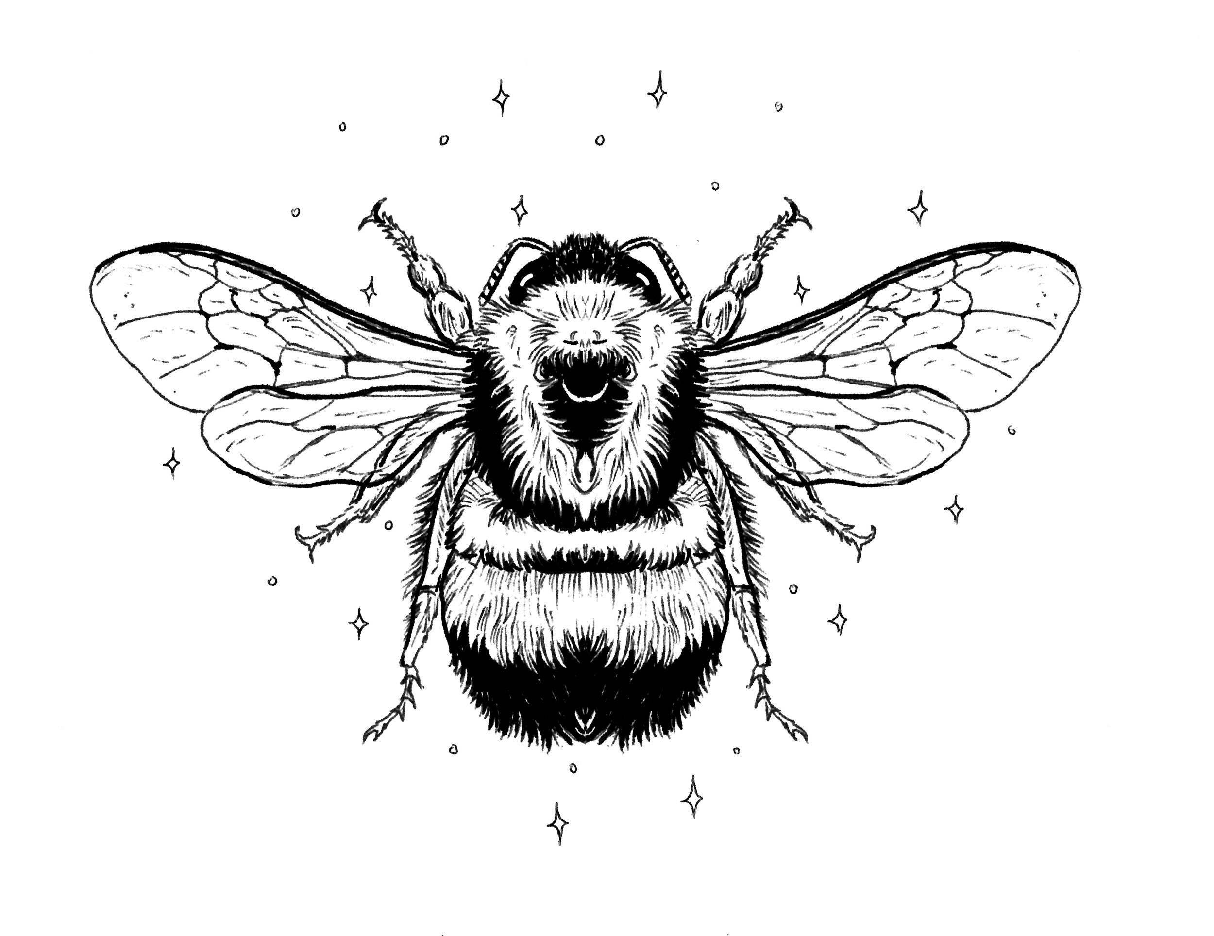 bumble bee full copy.jpg