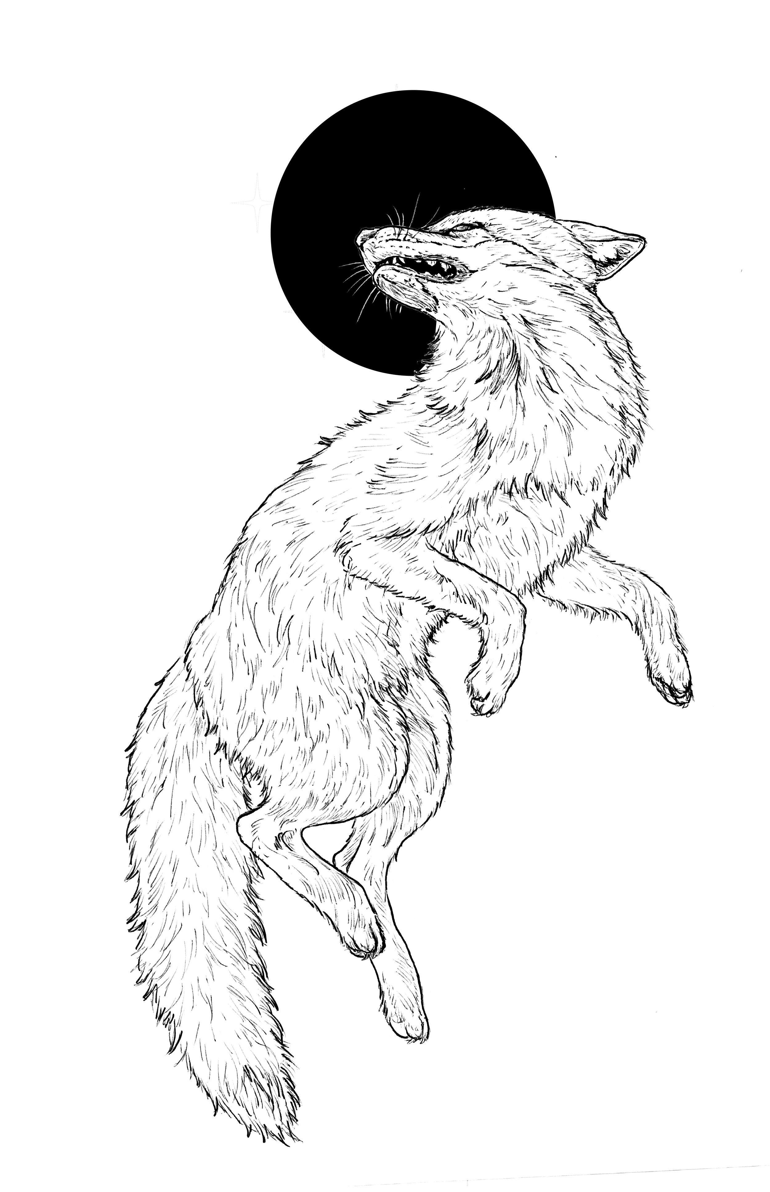 fox for stencil 2 copy.jpg