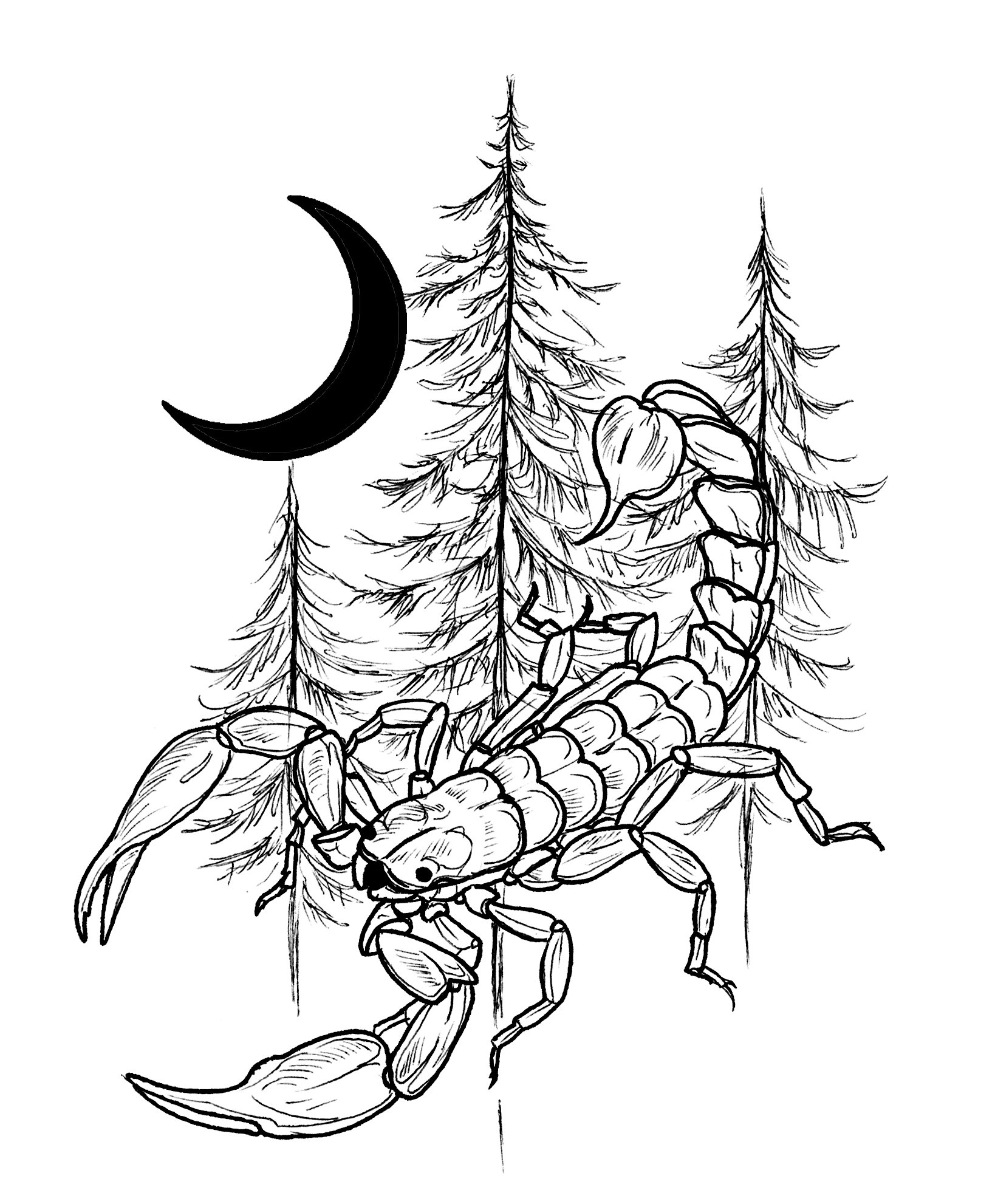 scorpion and trees copy.jpg