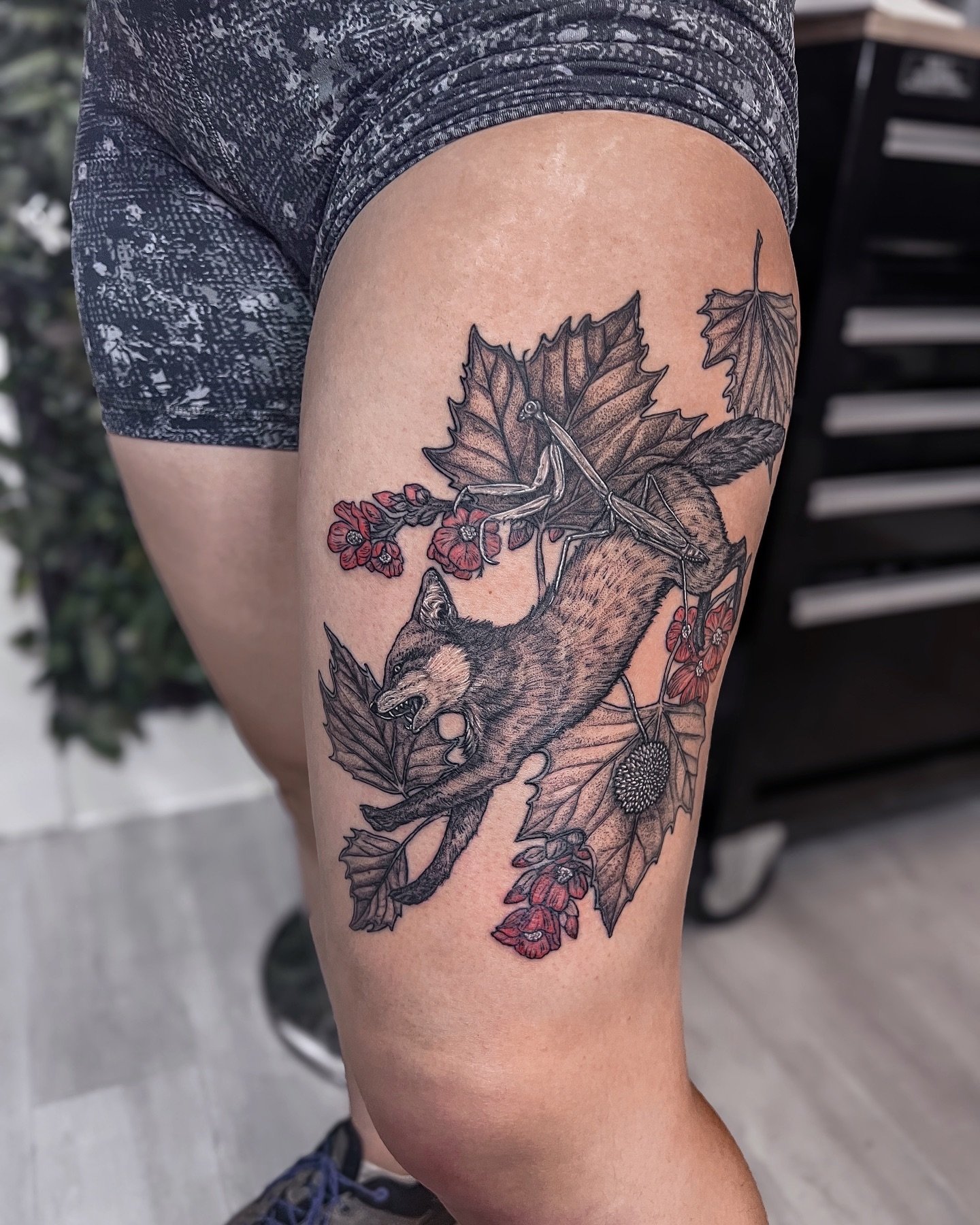 Running fox with mantis rider 🤠 plants are London plane tree and desert globe mallow. Lines healed, shading fresh. Thanks A!