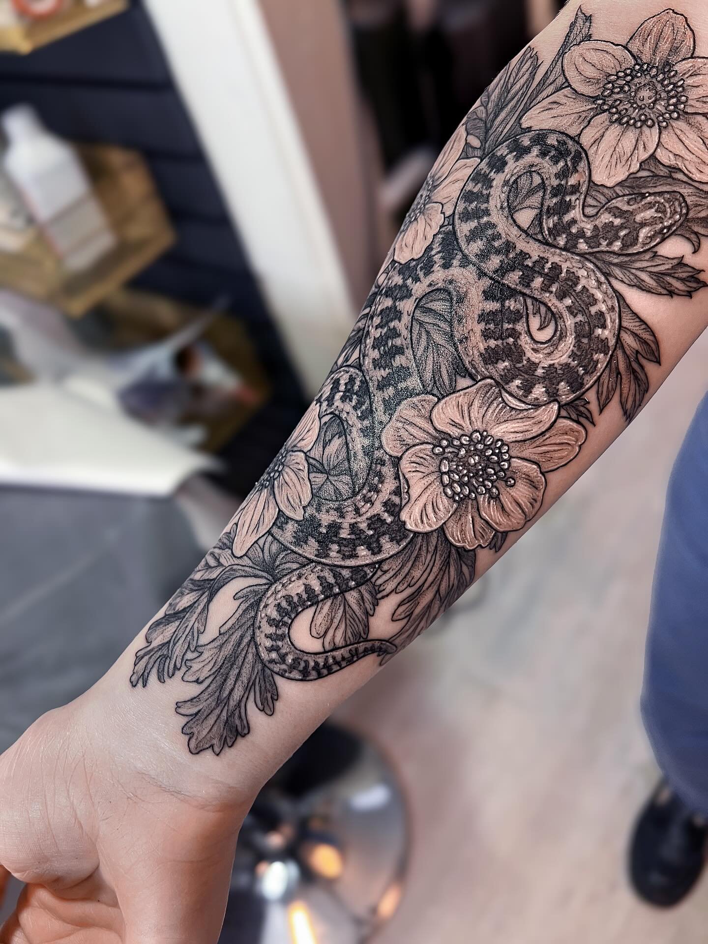 Adder and anemone flowers 🖤✨