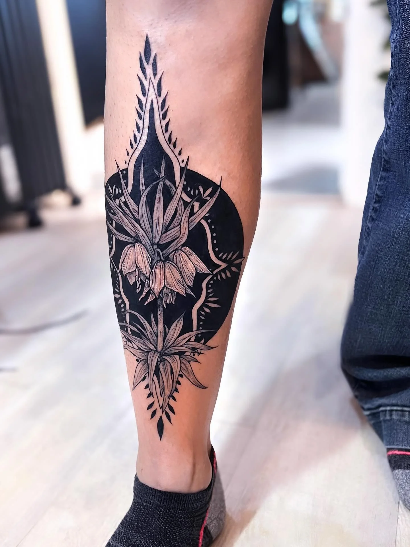 Fritillaria imperialis ornamental shin my pre-drawns 🌑 💫