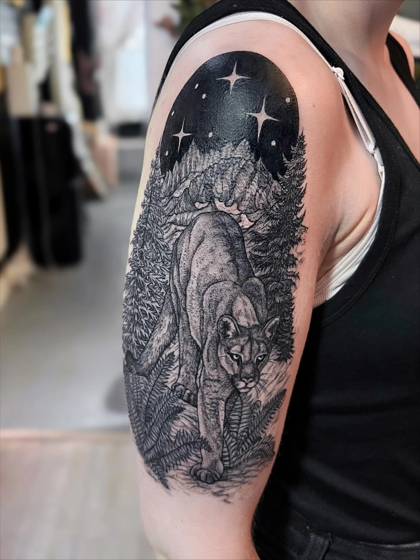 Mountain lion 🏔️ pretty shiny but a fun one! Mountain lions and other big cats have been one of the most frequent visitors to my dreams throughout my life, and I always wonder what message they are trying to give me.