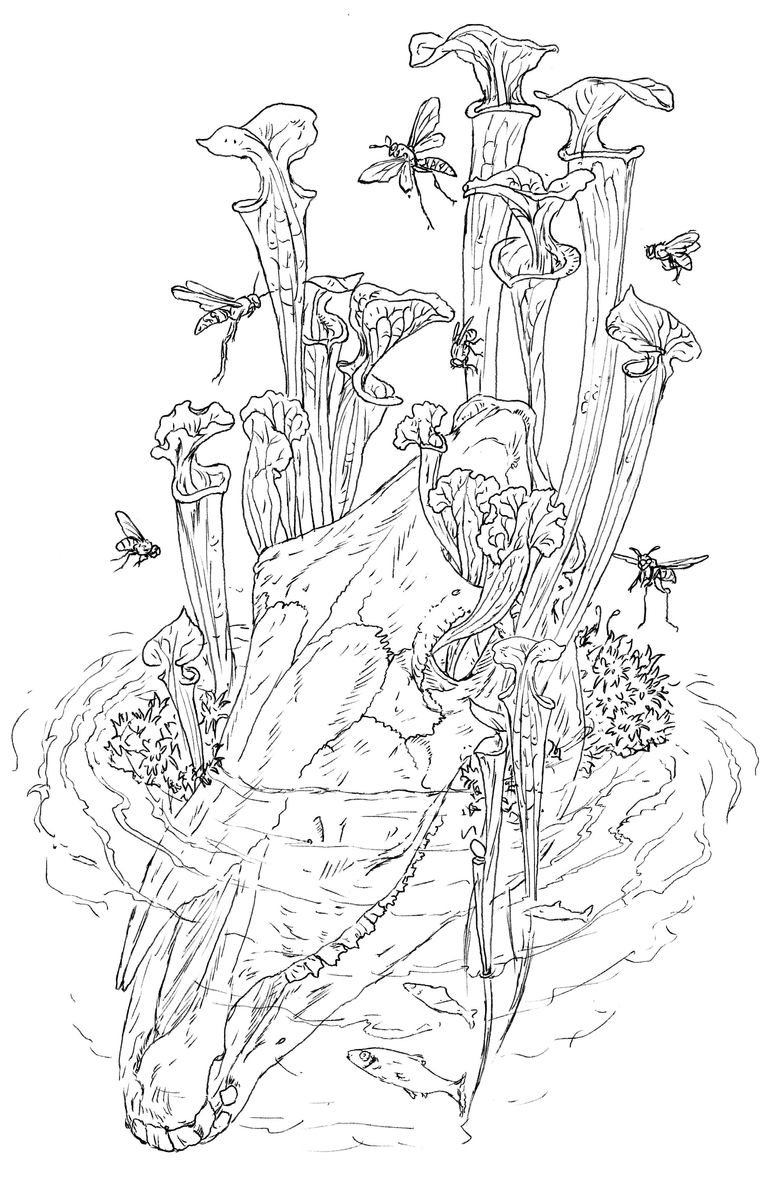 Horse Skull with Pitcher Plants