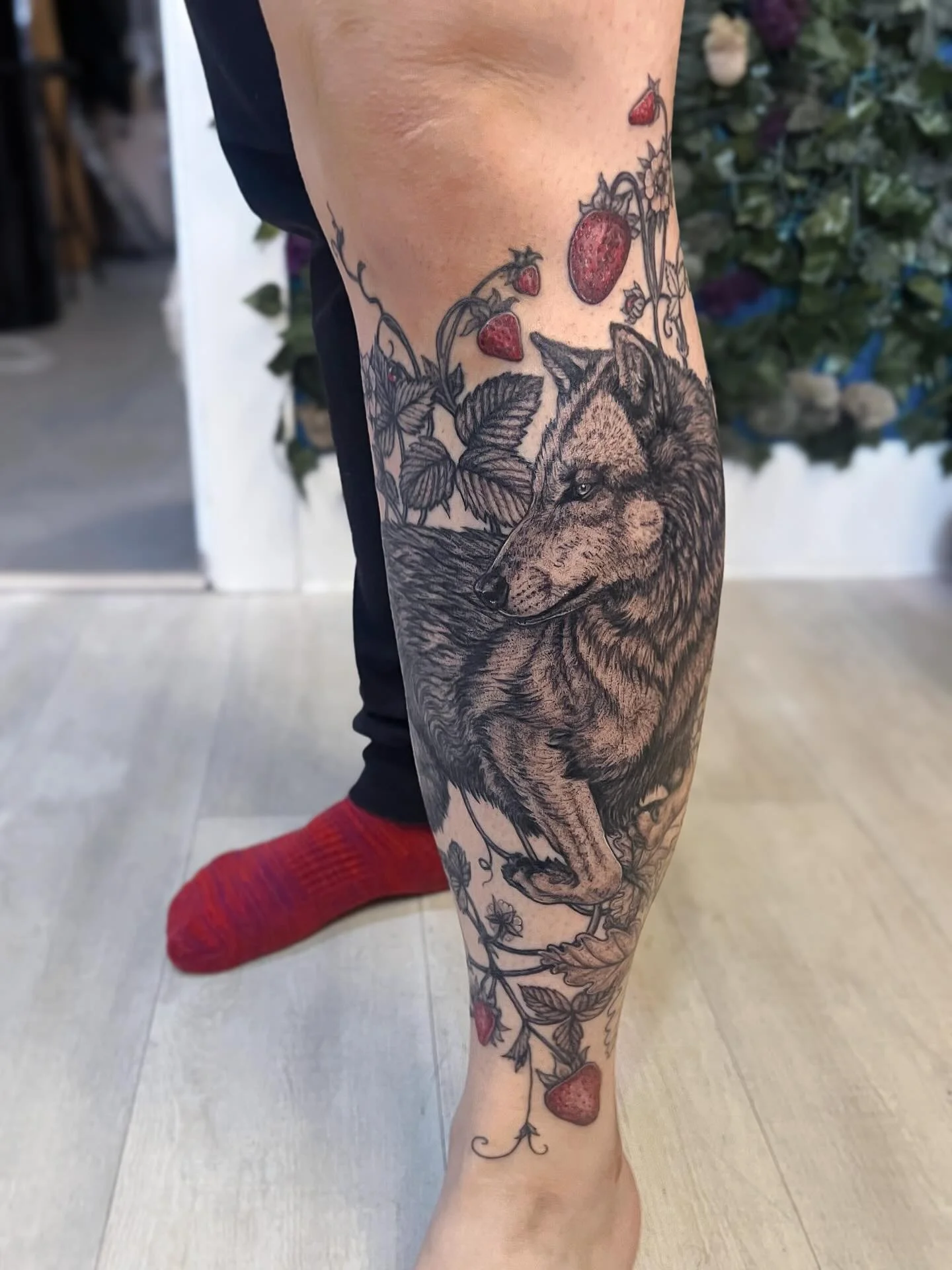 Wolf 🐺 with strawberries and oak leaves. Linework six months healed, shading fresh - it&rsquo;s a full calf wrap and we have one more season to go to finish the back but I was excited to share it 🍓 Thanks B! ✨