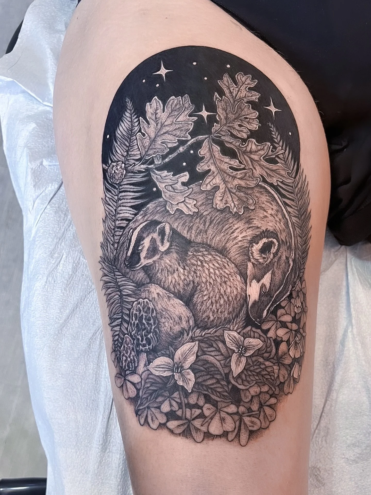 Mama and baby badgers 🖤✨ Two sessions, linework healed. Thanks so much R!