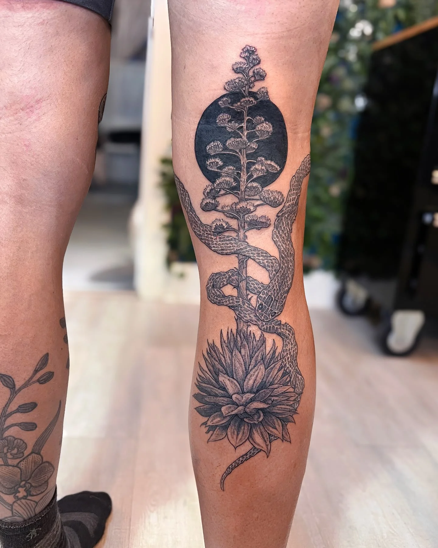 Blooming century plant and shed snake skin on the back of the leg that wraps around to the knee 🐍🌑⚡️ Thanks R for flying in and sitting so well for what had to be a pretty grueling session!