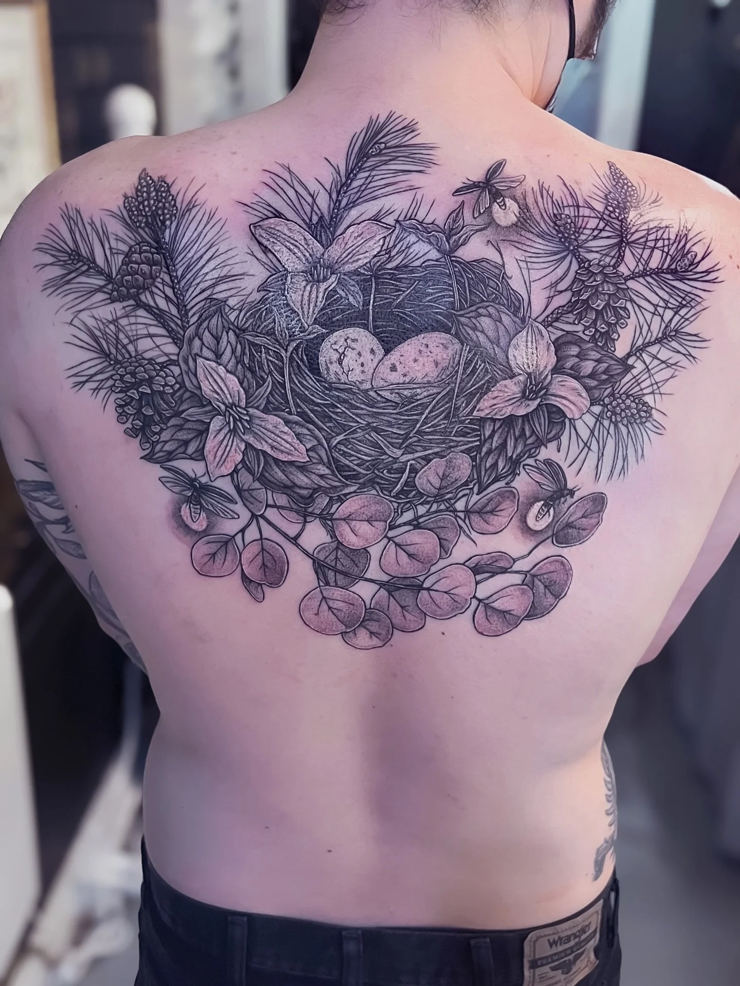 Nest with trilliums, fireflies, pine branches and eucalyptus. Two sessions. Thanks for working with me again L 🪺