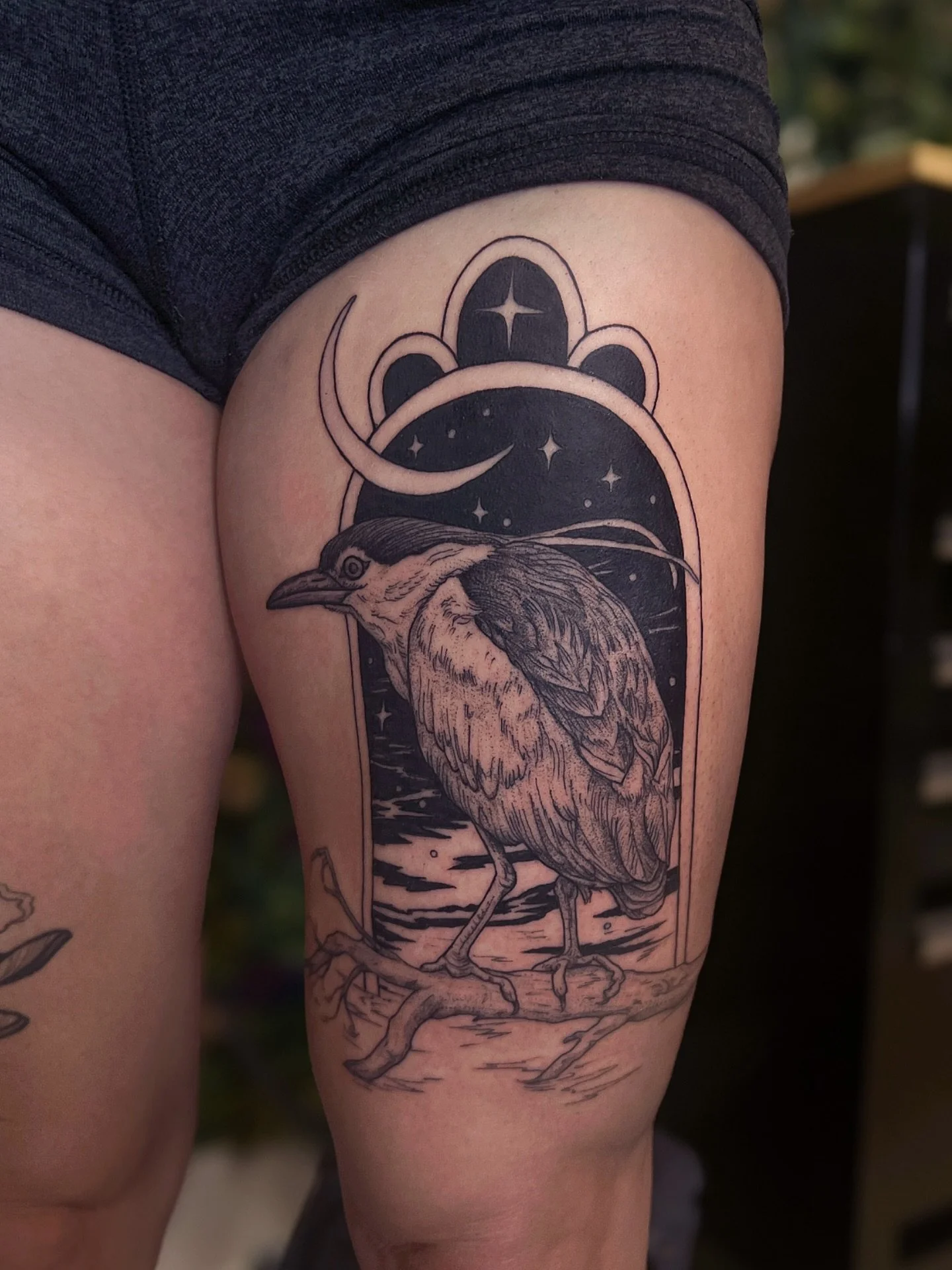 Night heron ✨🌙 From my pre-drawns