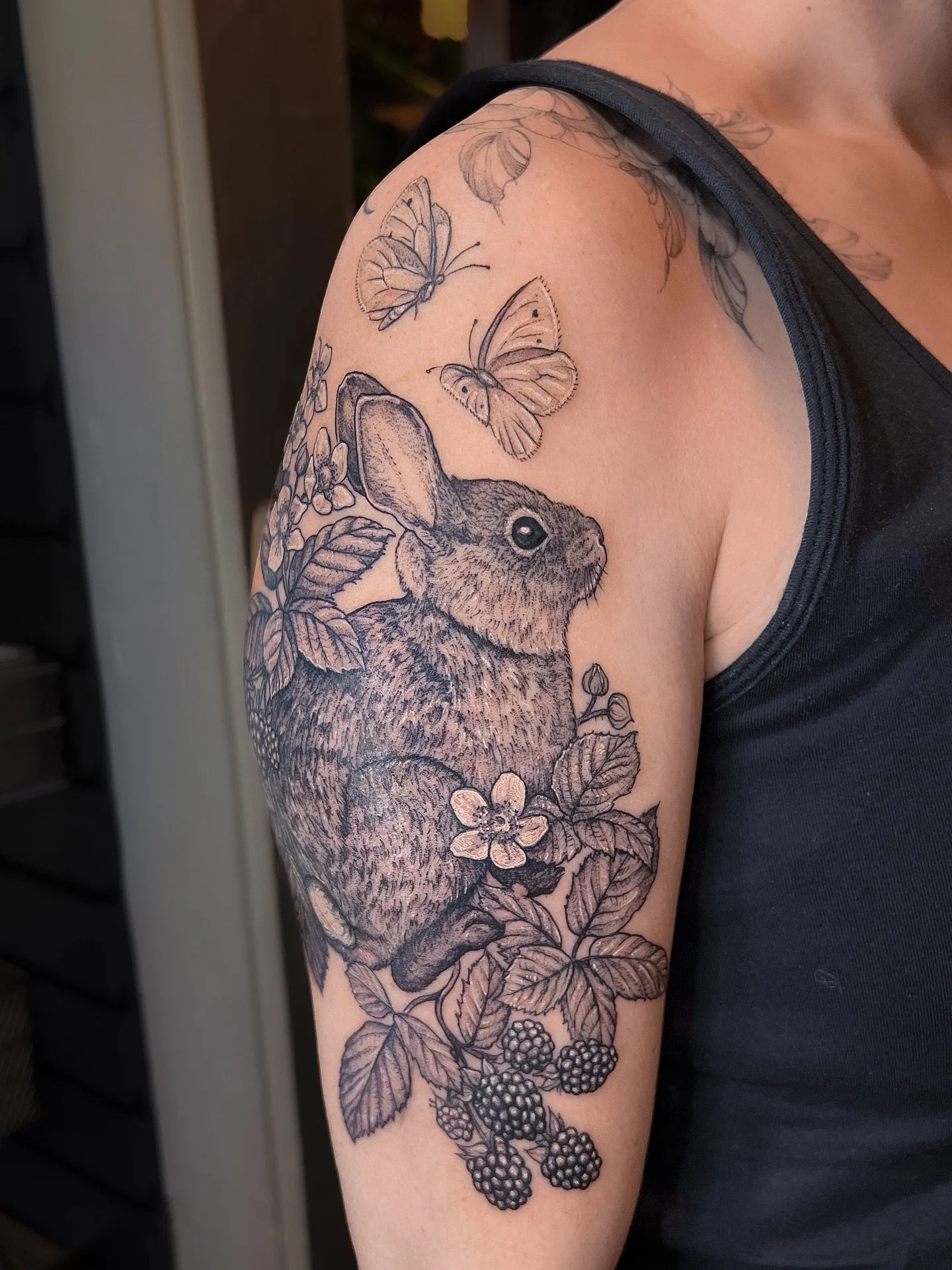Cottontail rabbit with blackberries and butterflies.

Thanks for the trust ✨