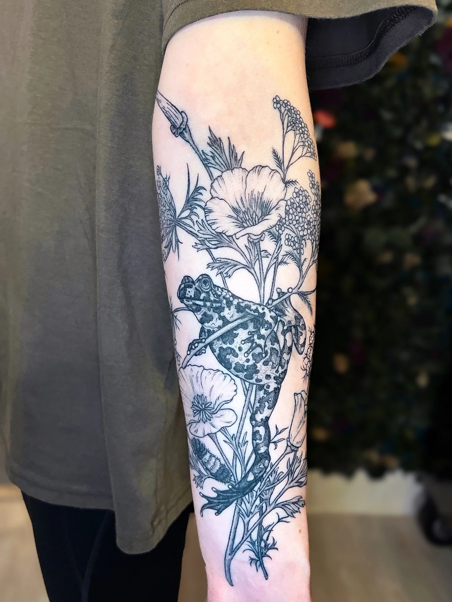 Fire bellied toad with California poppies, a woolly bear caterpillar, praying mantis, crickets, Queen Anne&rsquo;s lace, yarrow and large flowered collomia. Inner arm/toad side healed, mantis side fresh. Thanks so much E!