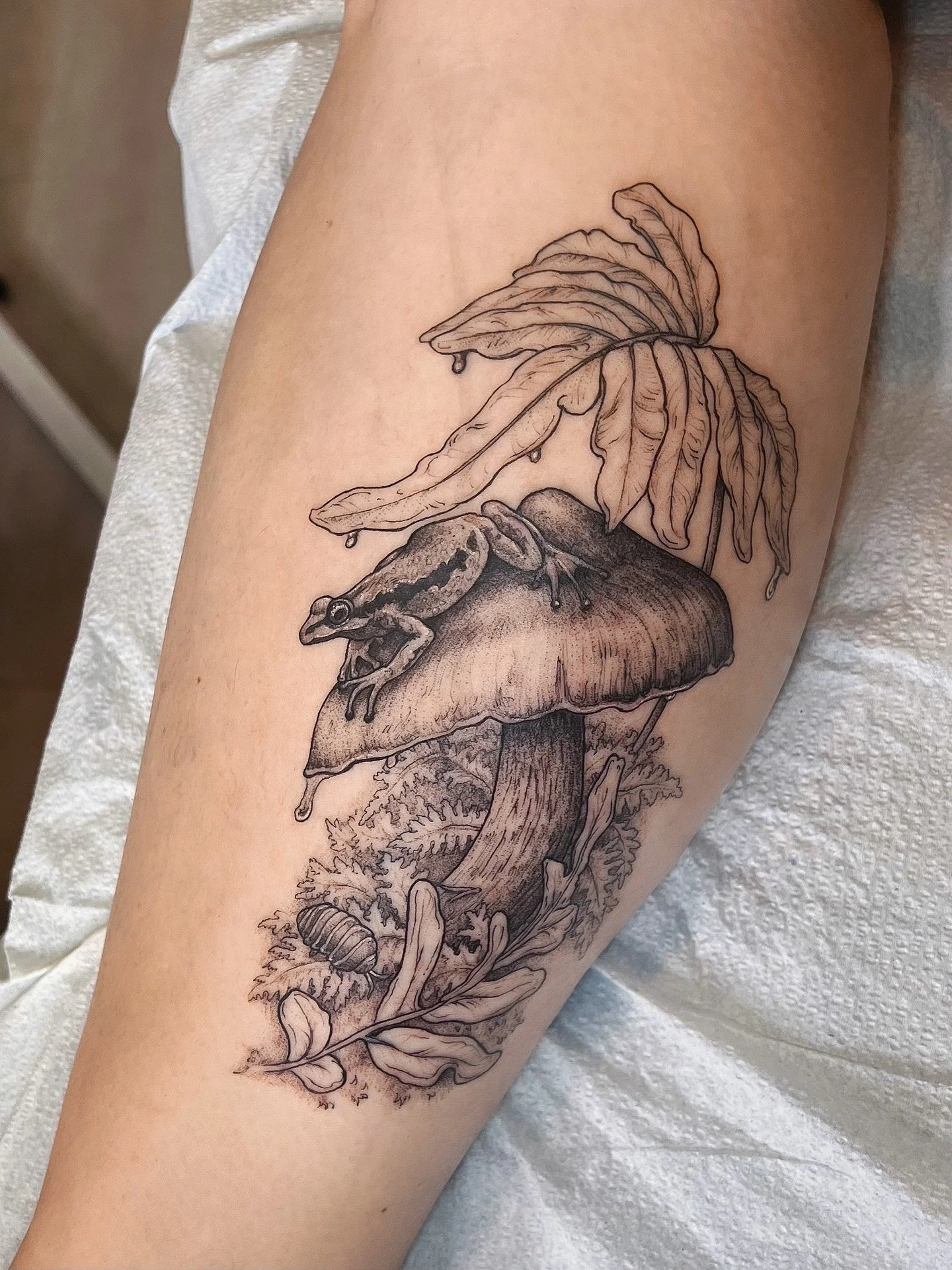 Pacific tree frog 🐸 🍄&zwj;🟫 🌧️