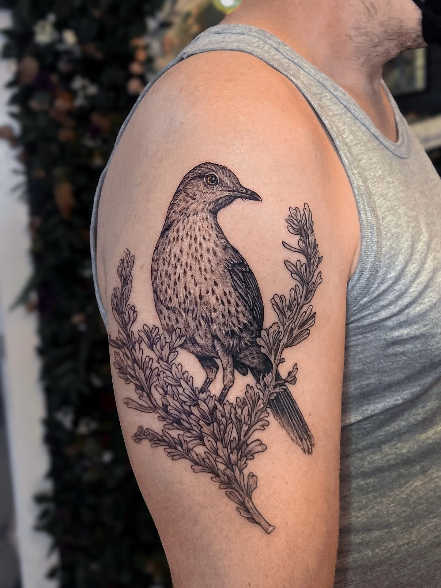 Sage thrasher 🌙 thanks for visiting from CO!