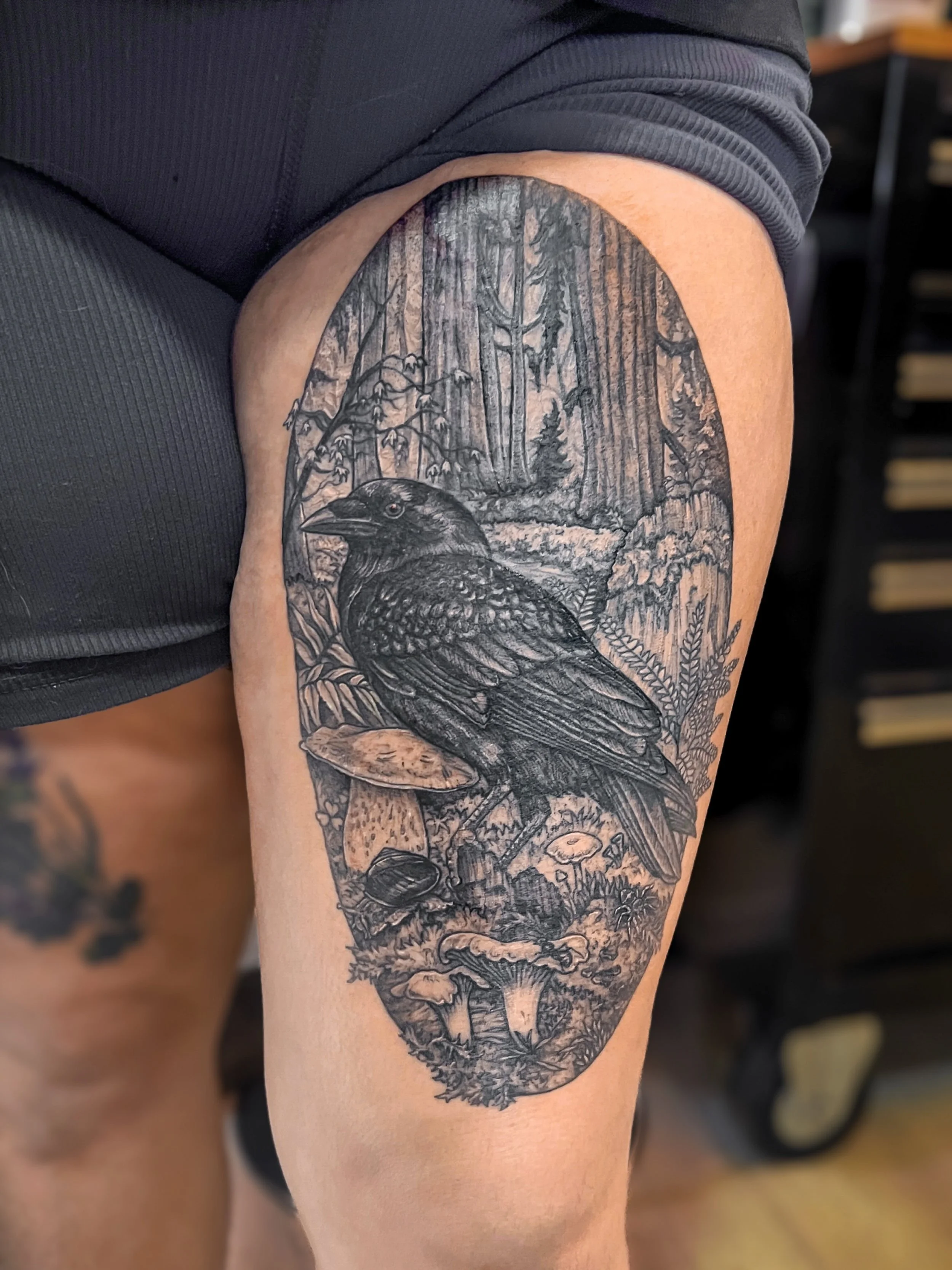 Crow in a PNW forest 🐦&zwj;⬛☘️🌲 Thanks so much L!