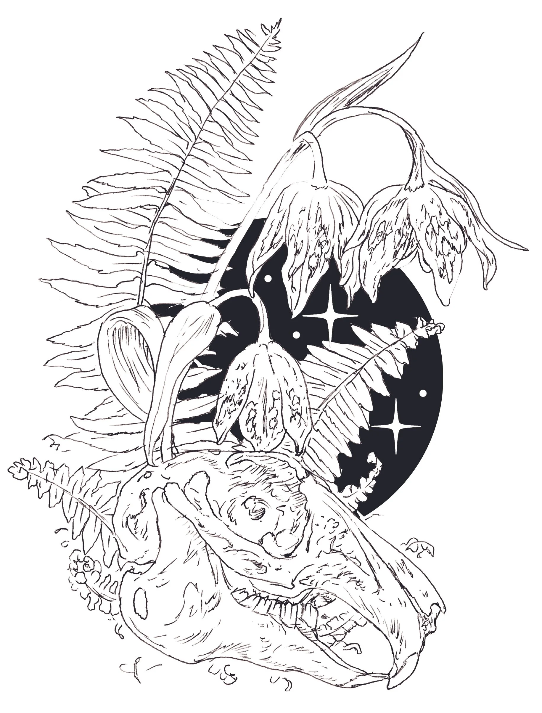 Rabbit Skull and Fritillaria