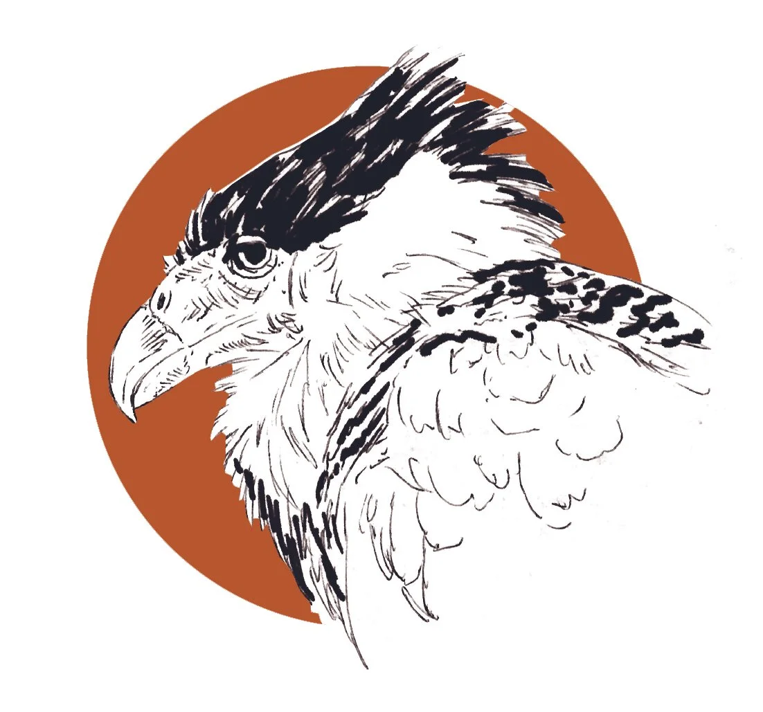 Crested Caracara