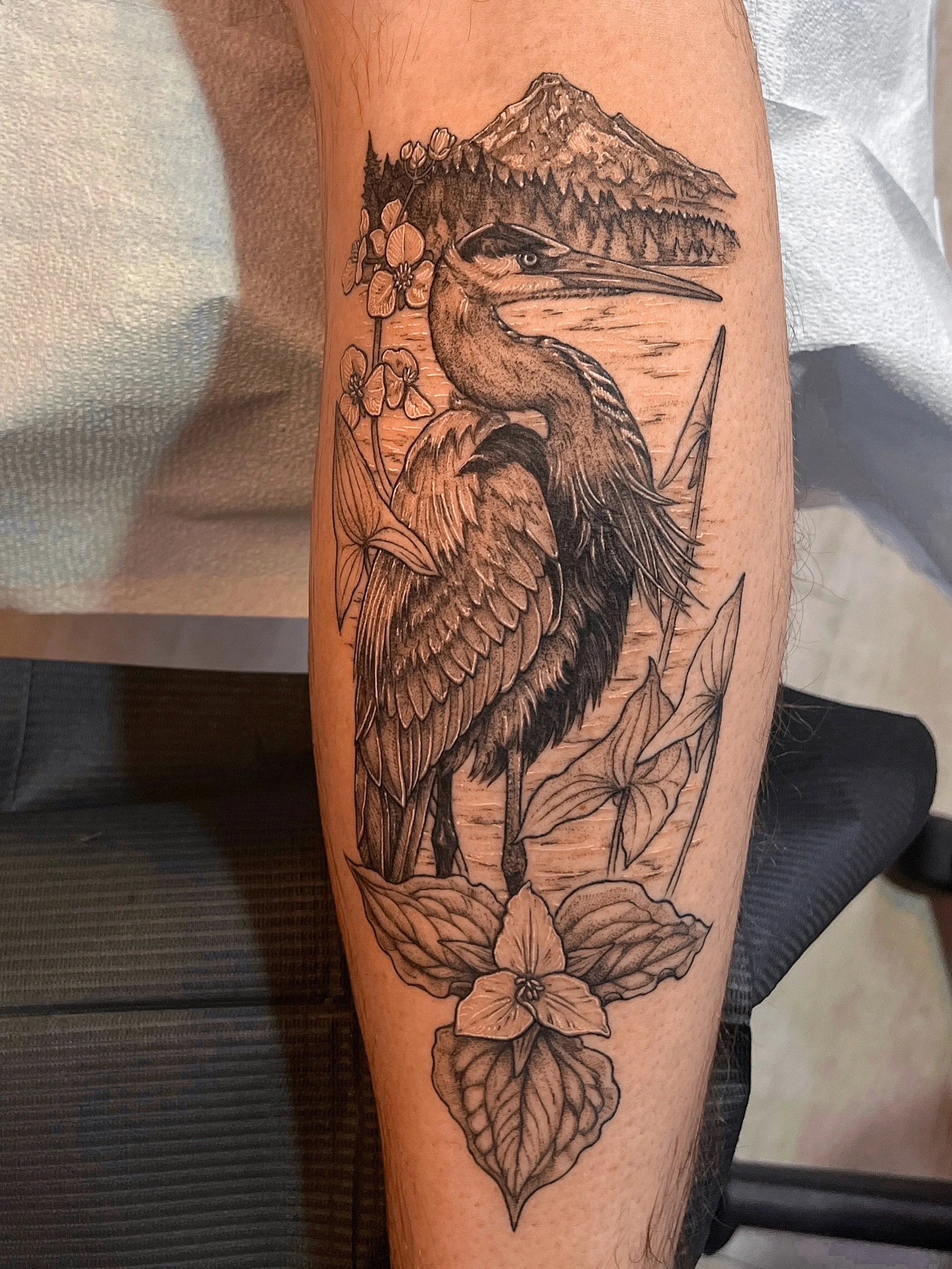 Great blue heron 🌒 linework healed. Thanks E!