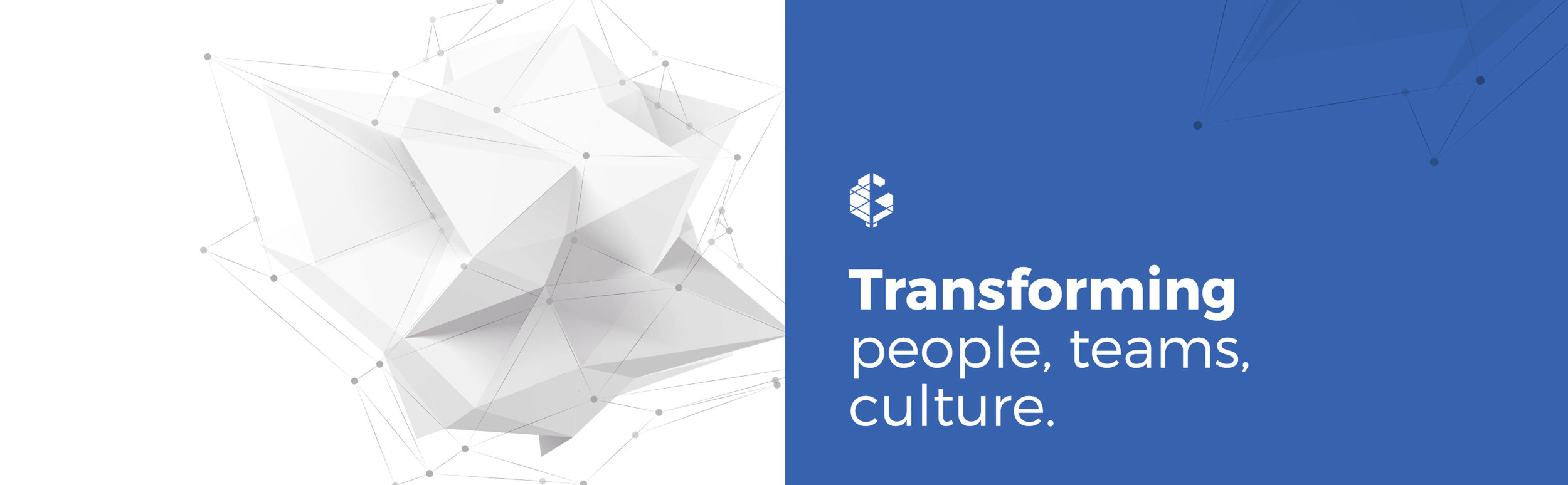 Banner 1 - Transforming people, teams & culture.jpg