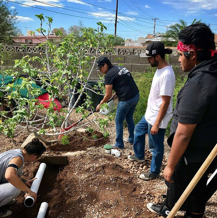 Screen Shot 2018-11-15 at 3.45.43 PM.png