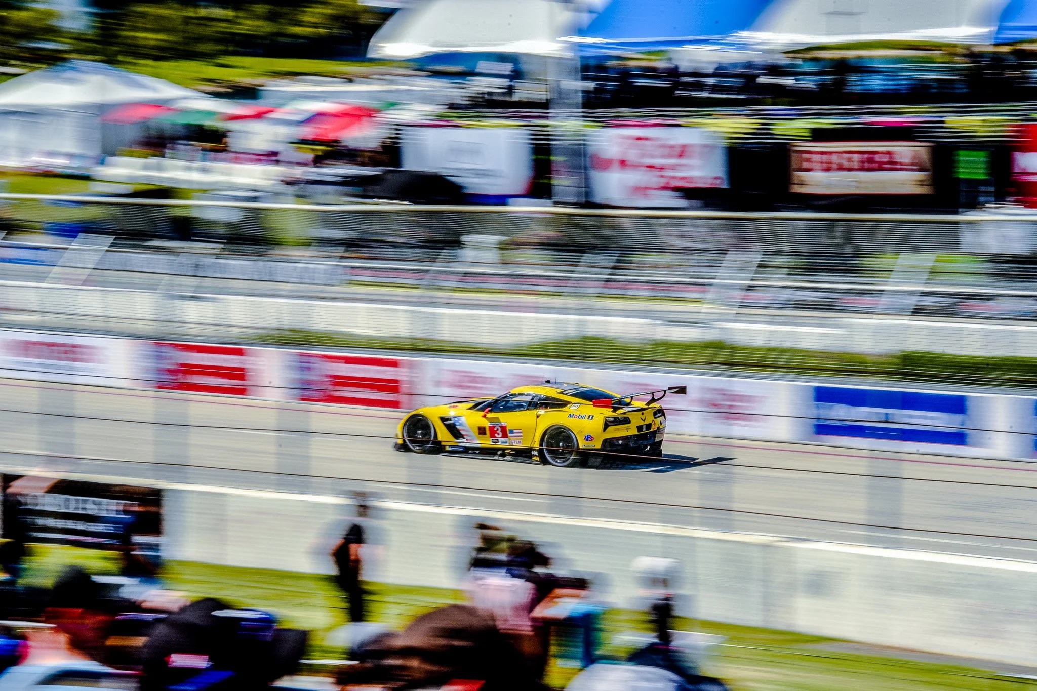 Corvette C7 IMSA 1.jpg