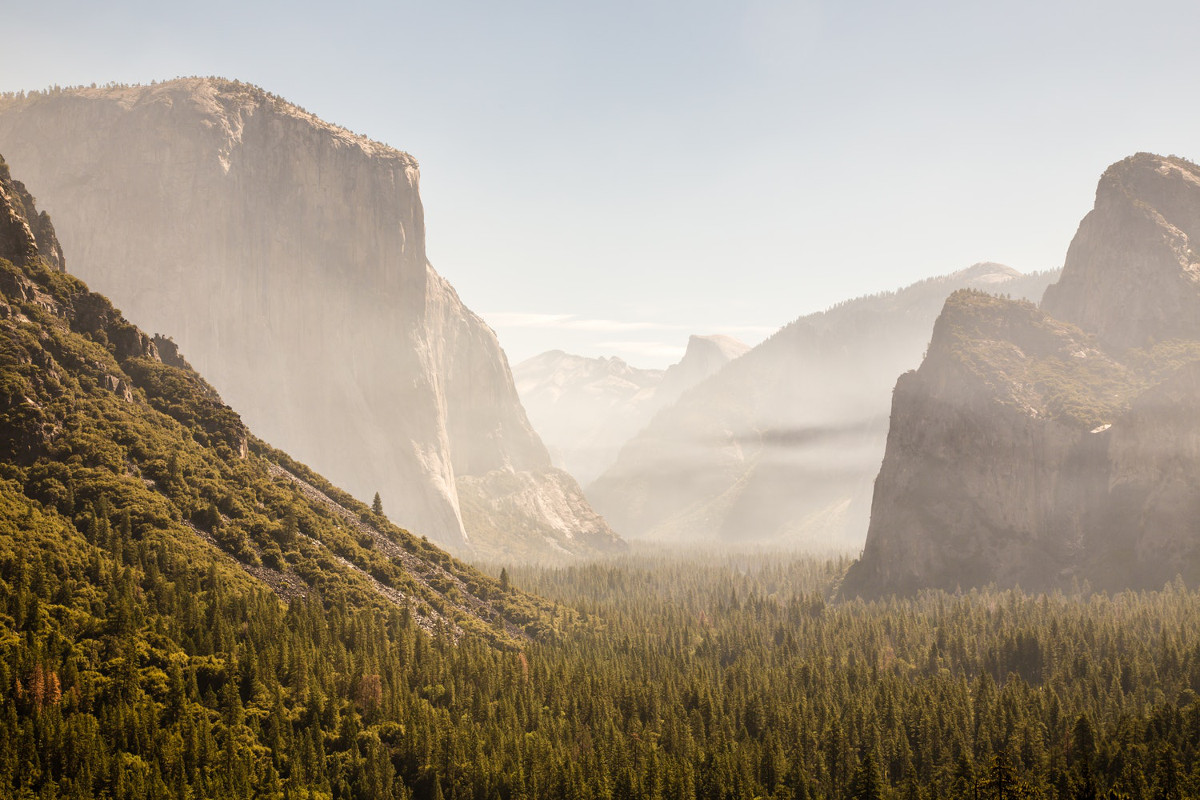 Photo credit: Calvin Kan/Unsplash