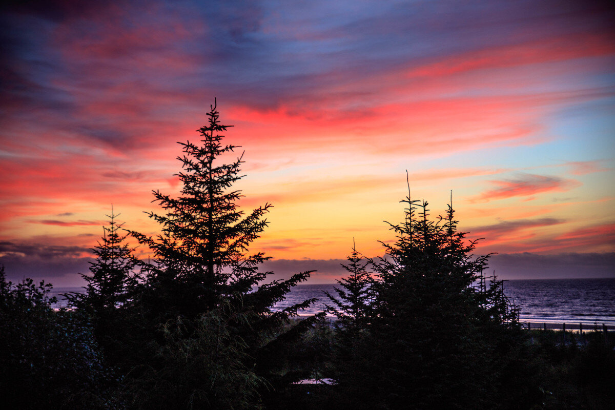 Photo credit: Murray Foubister/Flickr