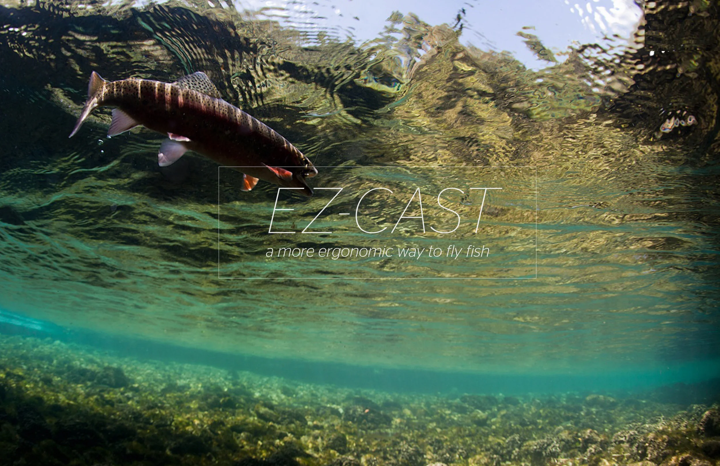 Fly rod cover .jpg