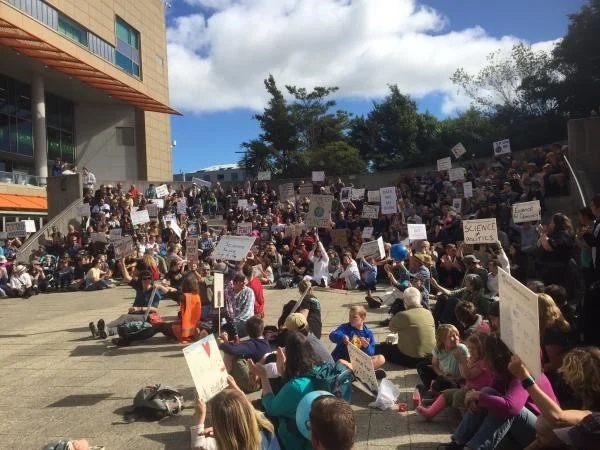 Wellington marchers at Te Papa (photo: Maddy Drew)