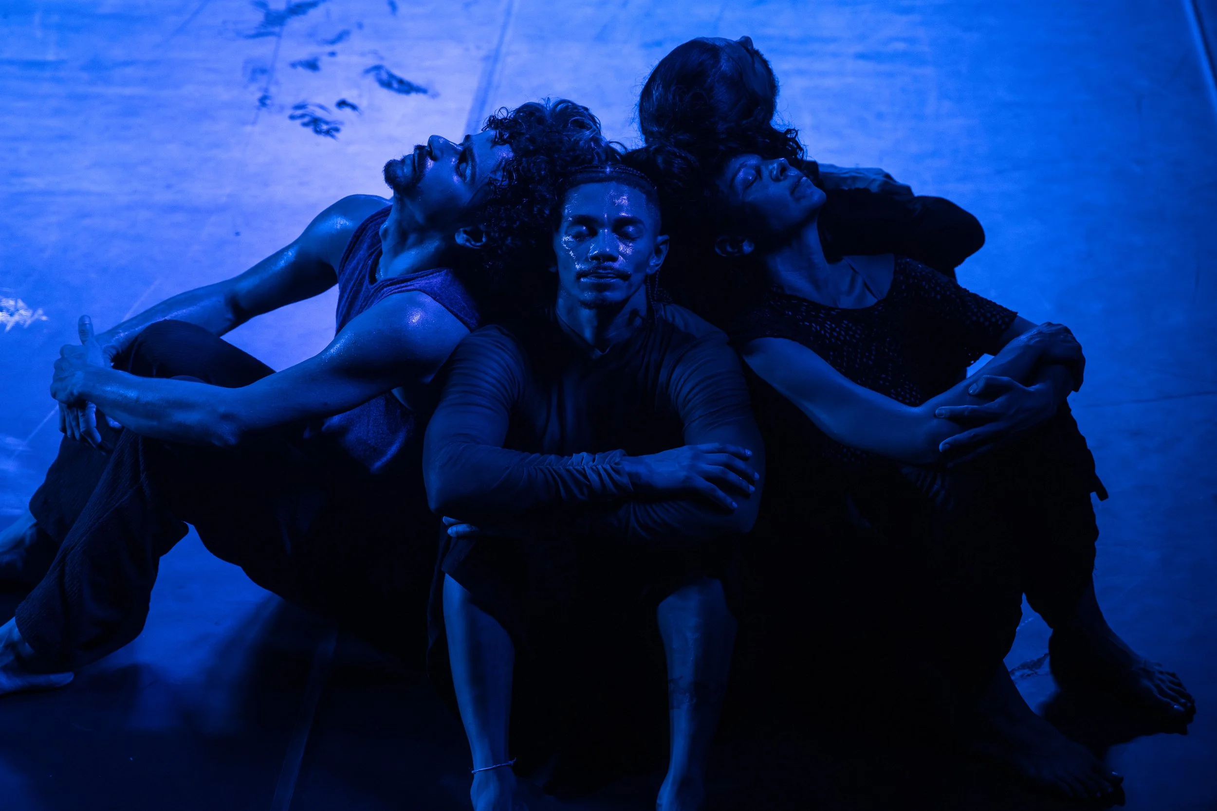 Esther Weitzman Companhia de Dança
