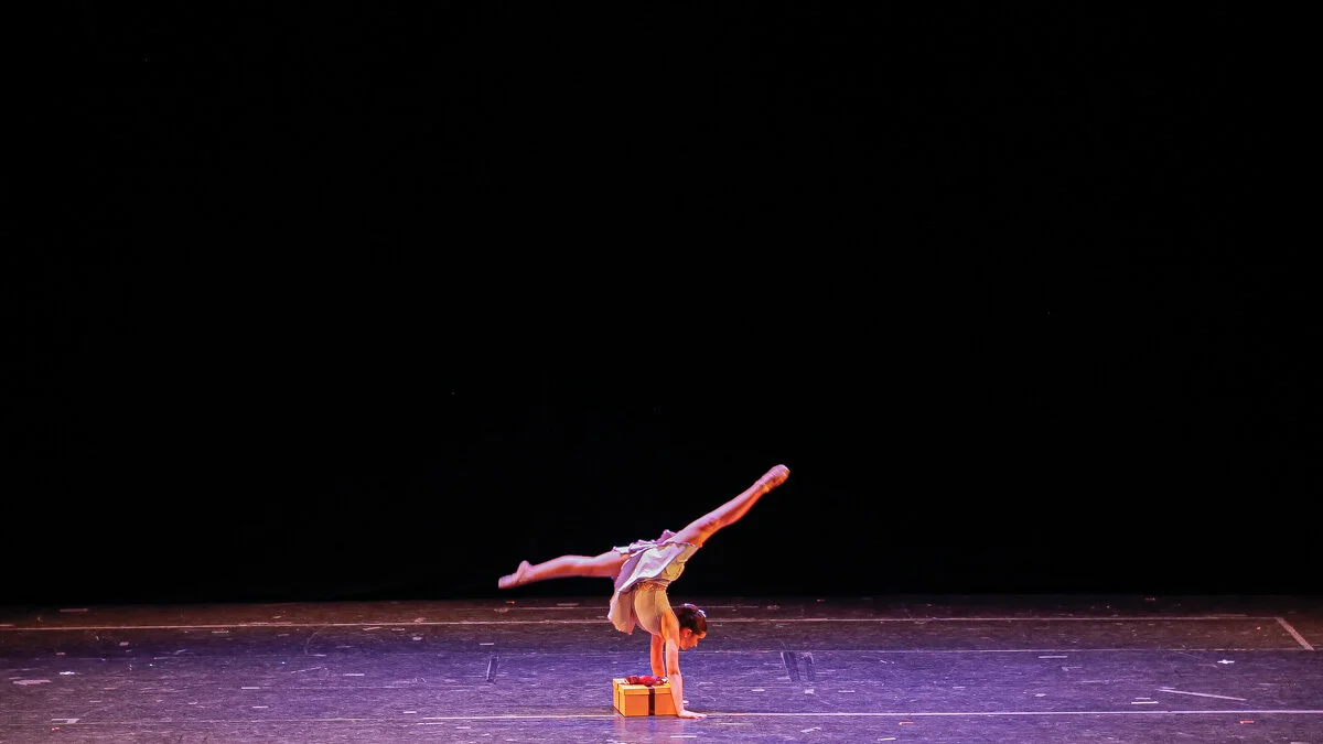festival_10agosto-8879.jpg