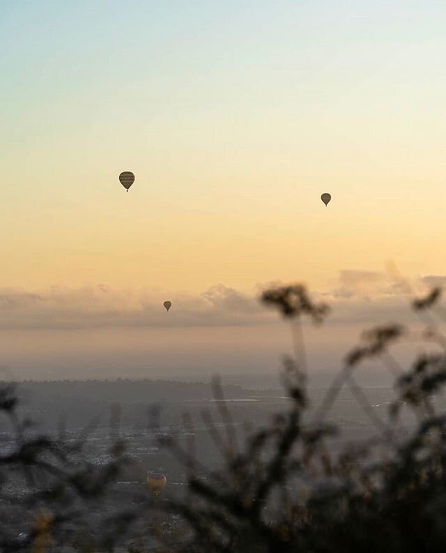This view from the top of Black Mountain, as hot air balloons rise nearby, is absolutely dreamy! Thanks @beautyiswiild for sharing this beautiful shot! #hikesandiego #hikesd