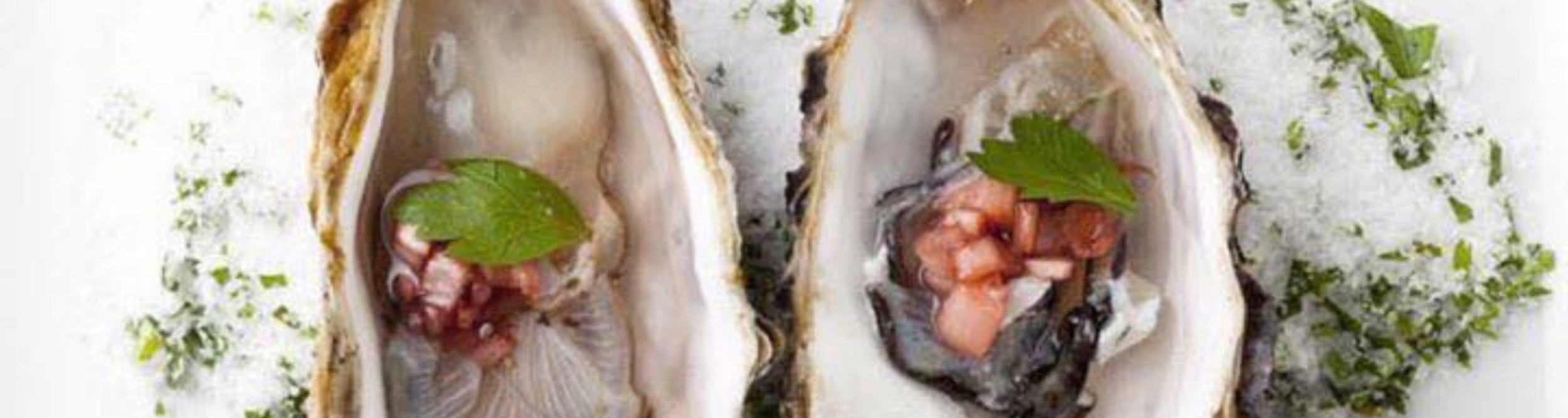 Restaurant Page- Bluewater Grill- Main Page.png
