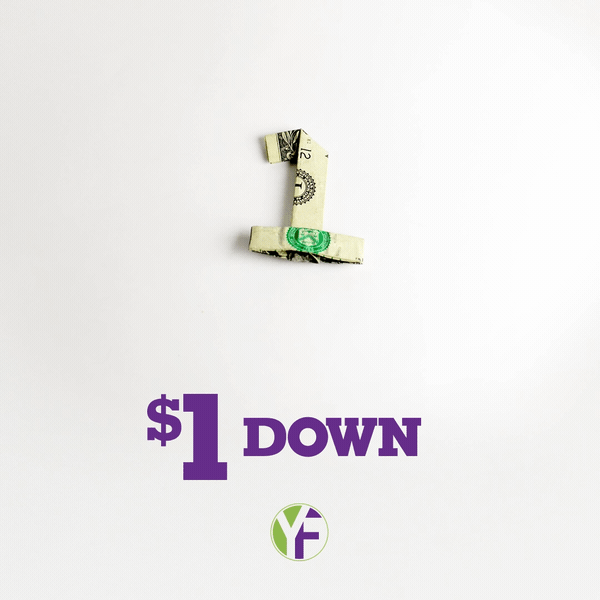 YF_Dollar_One.gif