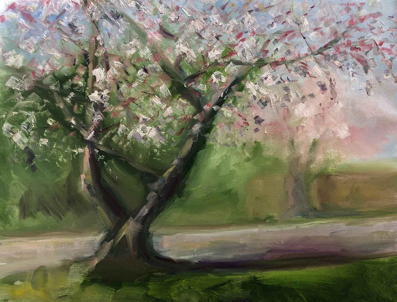 Geoff Watson, “Flowering cherry tree,” oil on canvas, 16” x 20,” 2018.